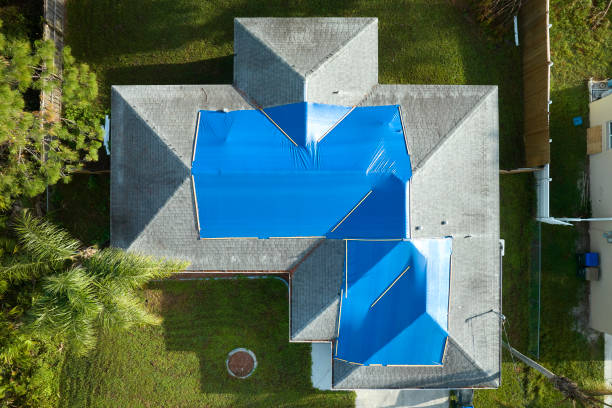 Trusted Venus, TX Roofing Services Experts