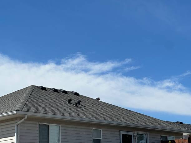 Emergency Roof Repair in Venus, TX